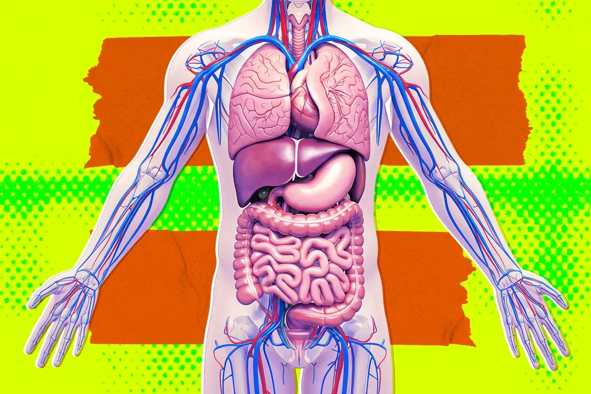 Secretive biotech envisions brainless 'organ sacks' for organs, prompting ethics questions