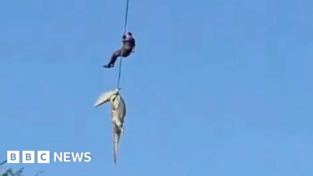 Komati River: officer lowered from helicopter to recover remains from crocodile