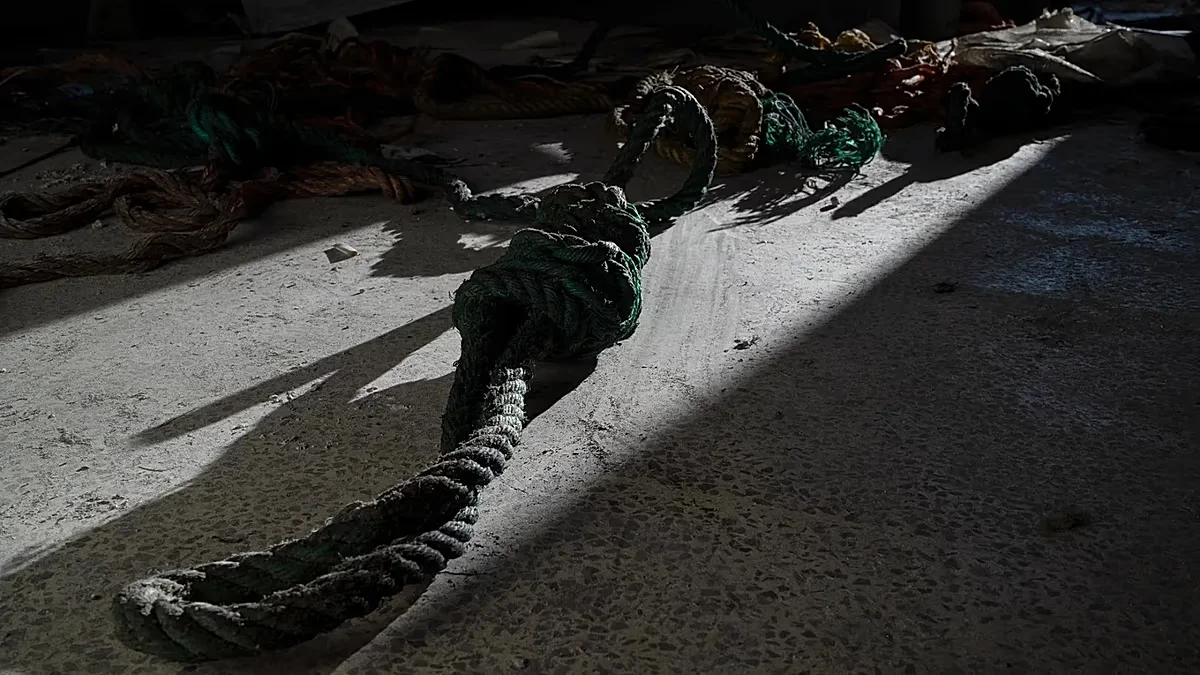 Iran's 2025 death toll climbs to 1,639, NGO report flags record-high executions