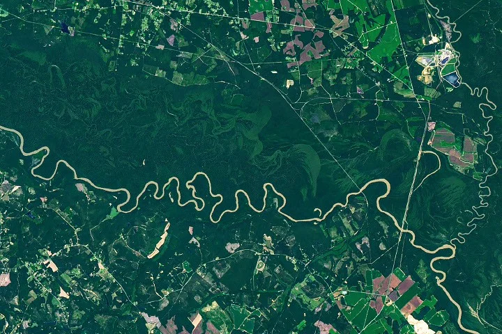Landsat View Unveils Congaree’s Ancient Floodplain Giants
