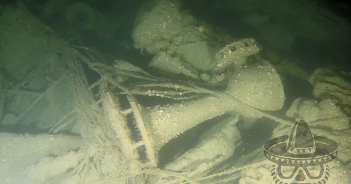 Divers unearth WWI-era Coast Guard Cutter Tampa wreck, confirming service's worst WWI loss