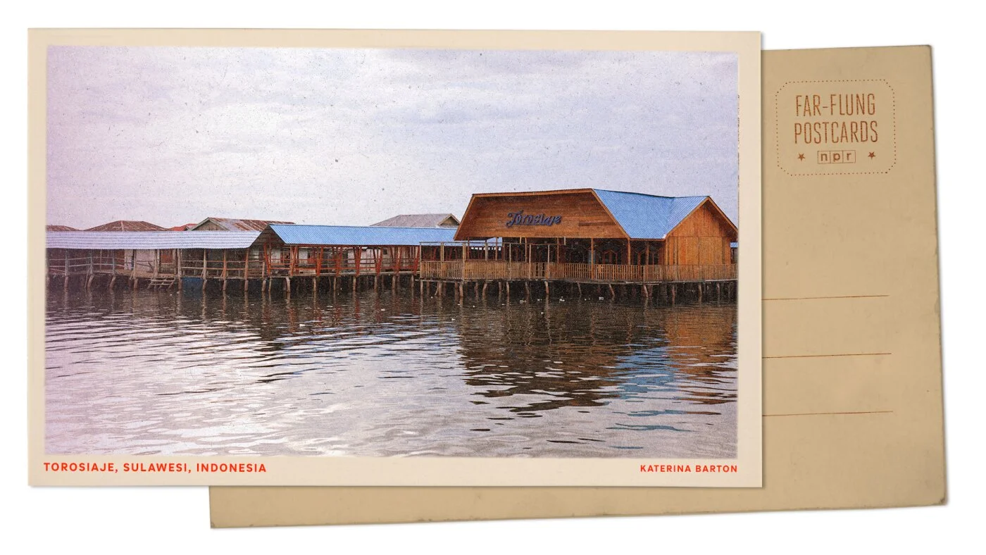 Stilted life and mangrove guardians in Sulawesi's Bajau village