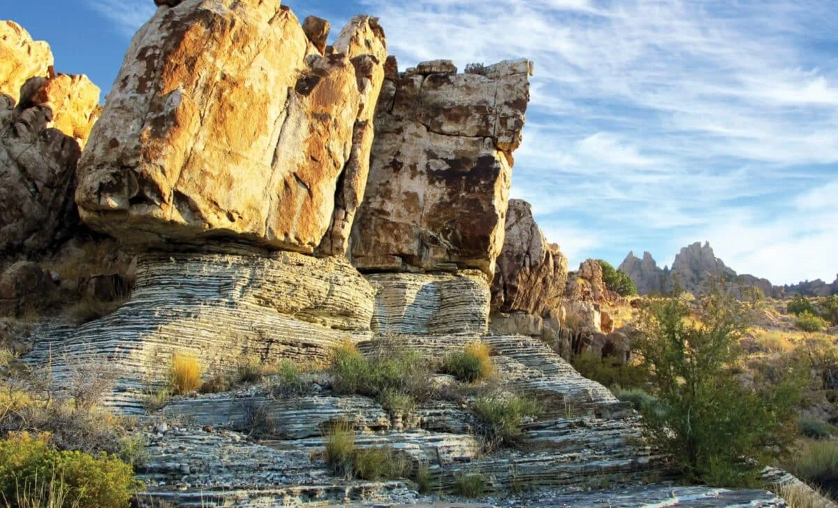 Ancient Utah Fossil Rewrites Tunicate Origins