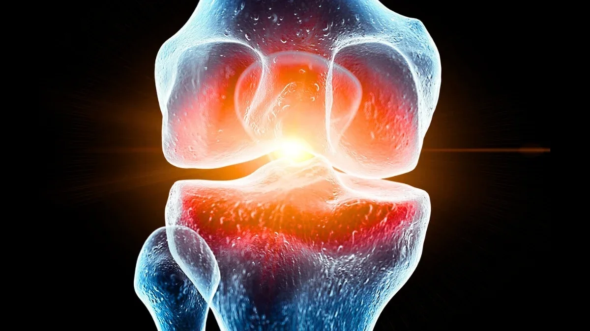 Kaempferol slows spaceflight knee cartilage damage in mice