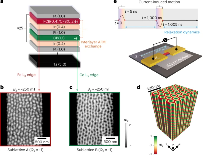 Antiferromagnetic skyrmion lattice reveals incoherent scattering and coherent flow with quantified interactions