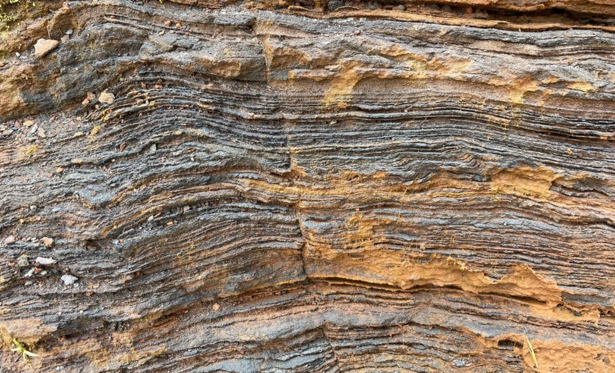 Oldest Eukaryotes Found in 1.7-Billion-Year Ocean Cores Point to Oxygen-Driven Life