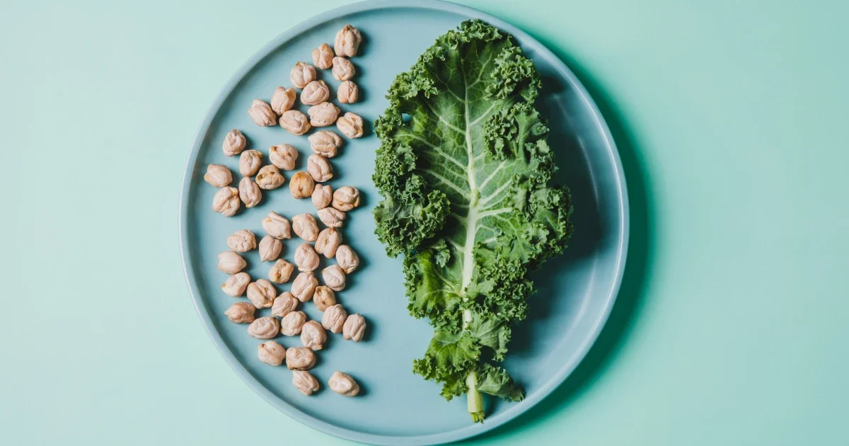 Protein and Fiber: Better Together for Your Health