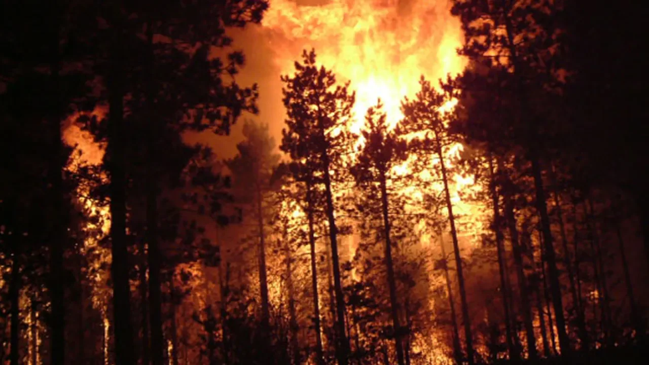 Wildfire State of Emergency Declared in Wisconsin and Michigan Due to Extreme Fire Danger.