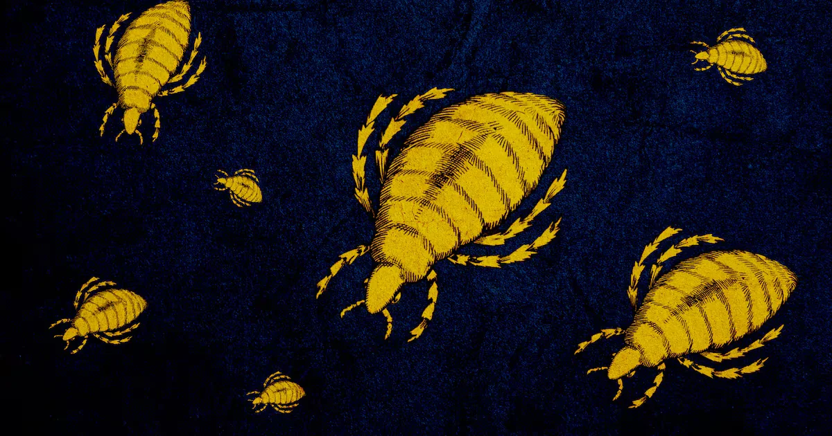 Flea-Borne Typhus Reemerges, Hospitalizations Climb in L.A.