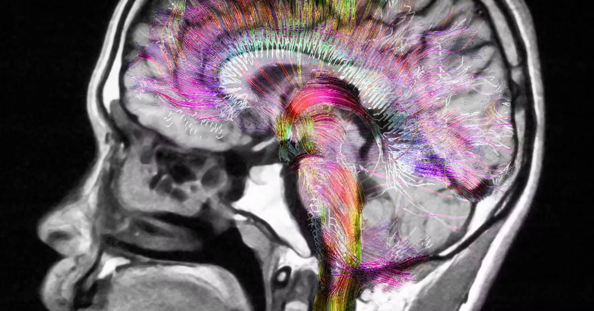 Unanswered Questions Surrounding Ozempic's Effects on the Body