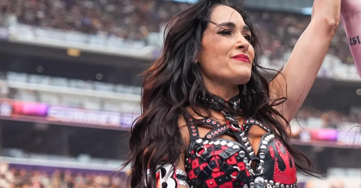 Brie Bella Injured at SummerSlam; Hospital Scans Pending