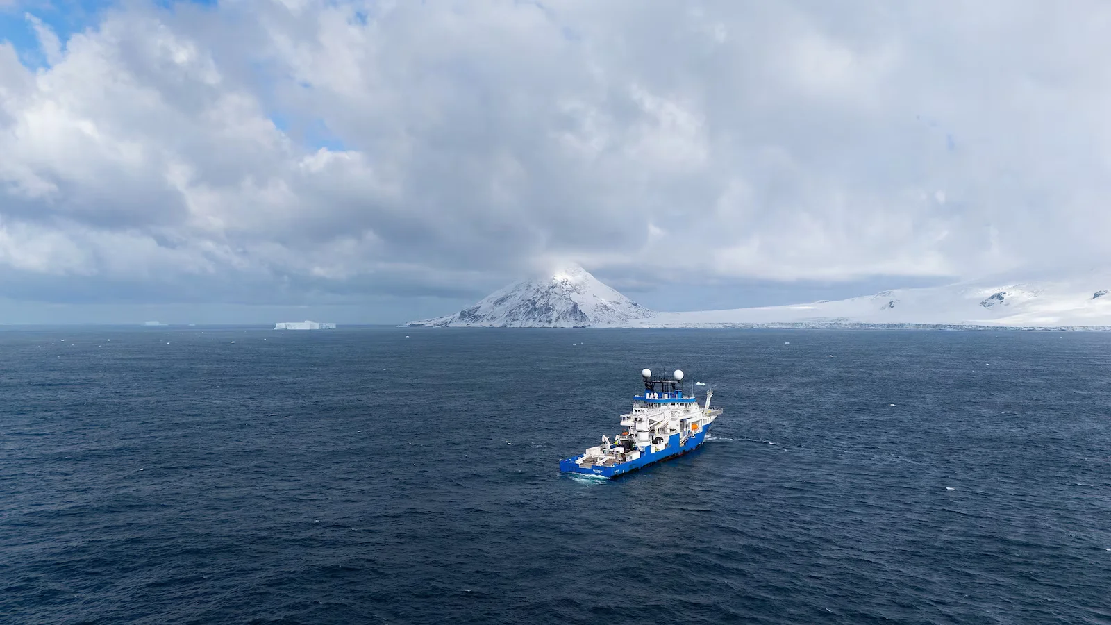 Ocean Census Sees Record 1,121 New Marine Species in One Year