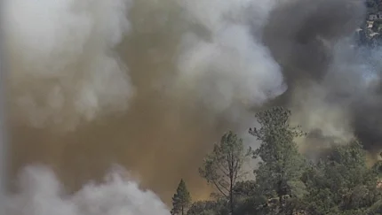 Tuolumne County Faces Evacuations as Dove Fire Spreads