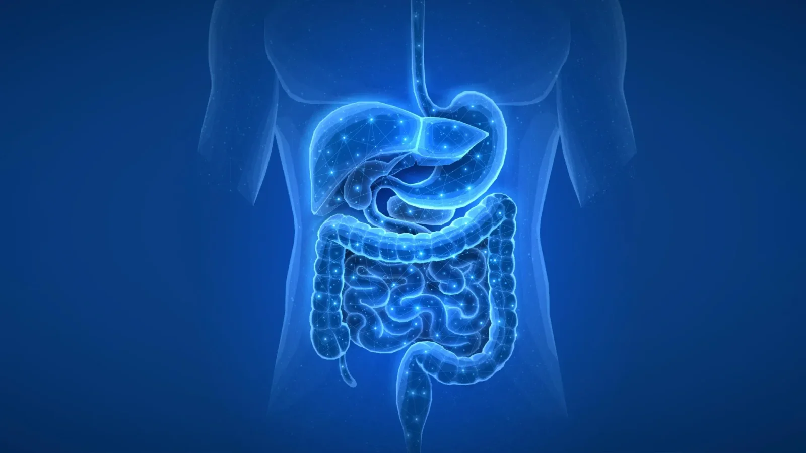 Past prescriptions leave lasting fingerprints on the gut microbiome