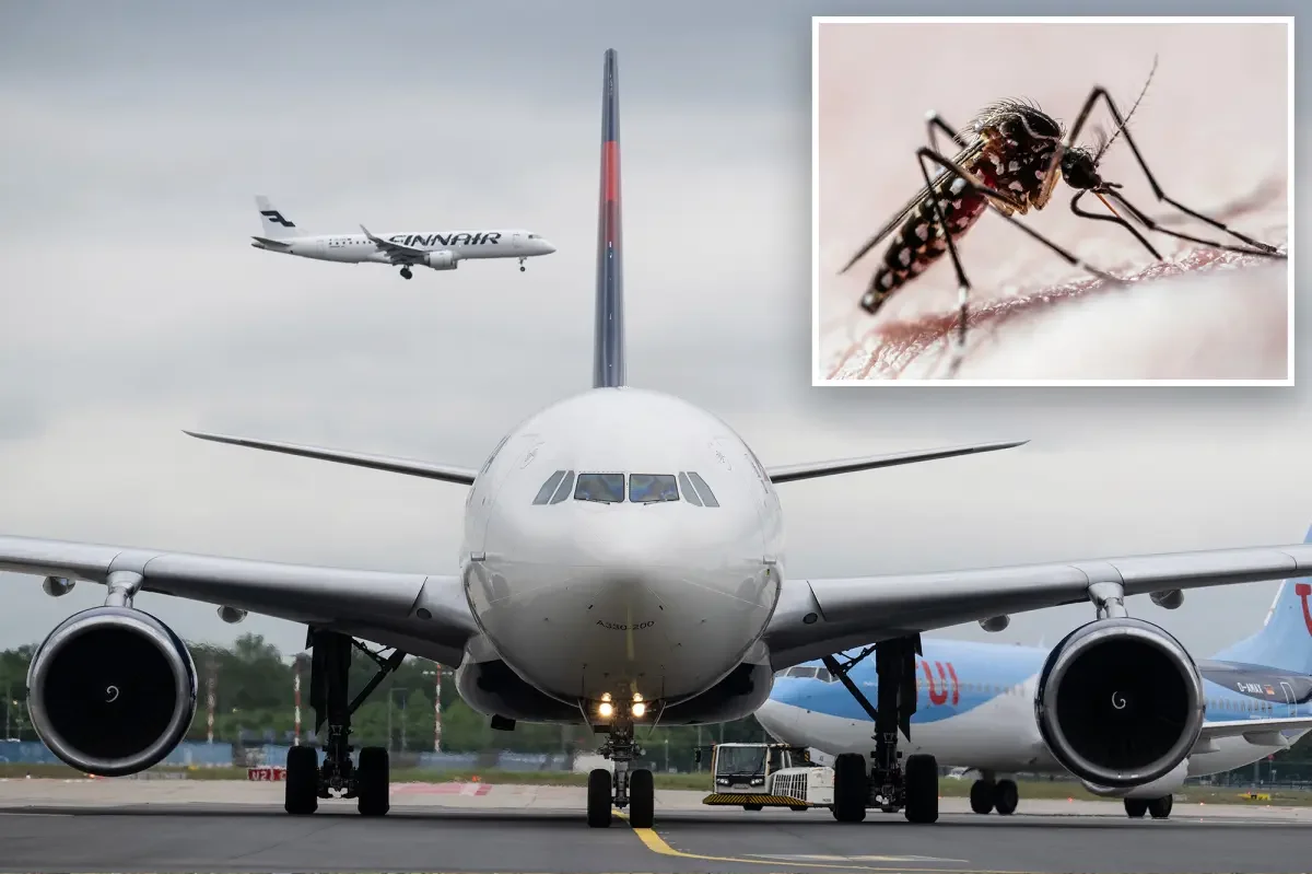 Plane-borne malaria strikes Frankfurt Airport, causing two deaths