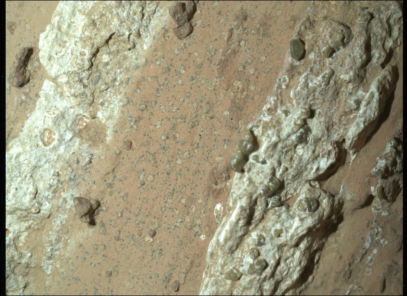 Martian Leopard Spots Spark Astrobiology Debate in Jezero Crater