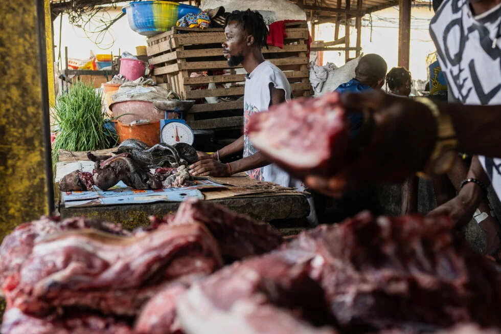 Bushmeat Under Scrutiny as Congo Faces Ebola Outbreak