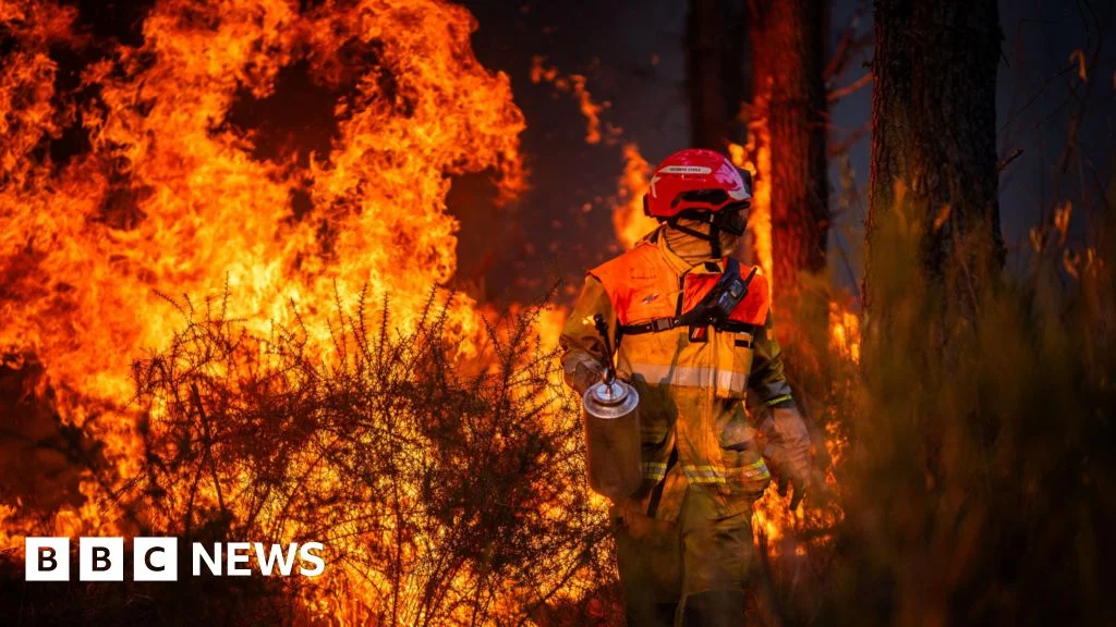 France's record wildfires ignite debate over cause and accountability