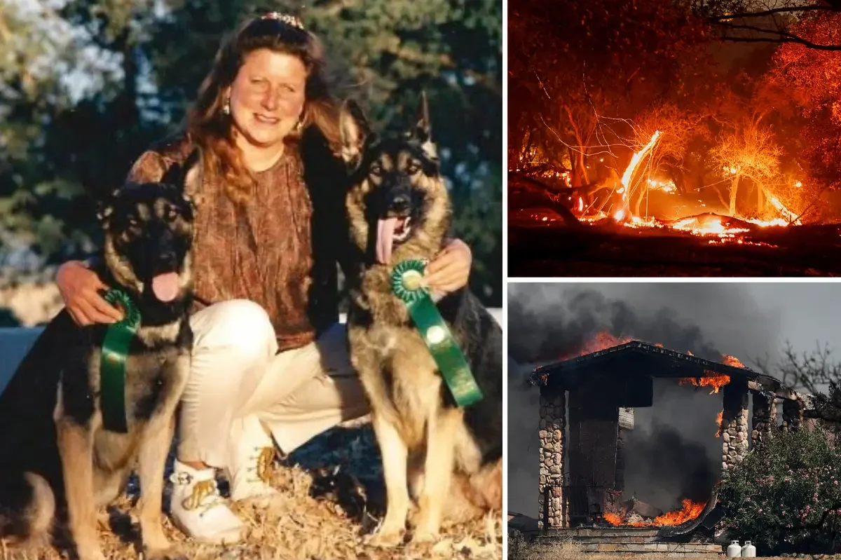 California wildfire claims life of dog breeder who refused to evacuate for her German Shepherds