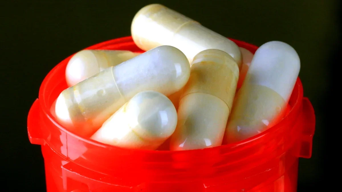 Inside Probiotics: What’s Really in Those Capsules and Do They Work?