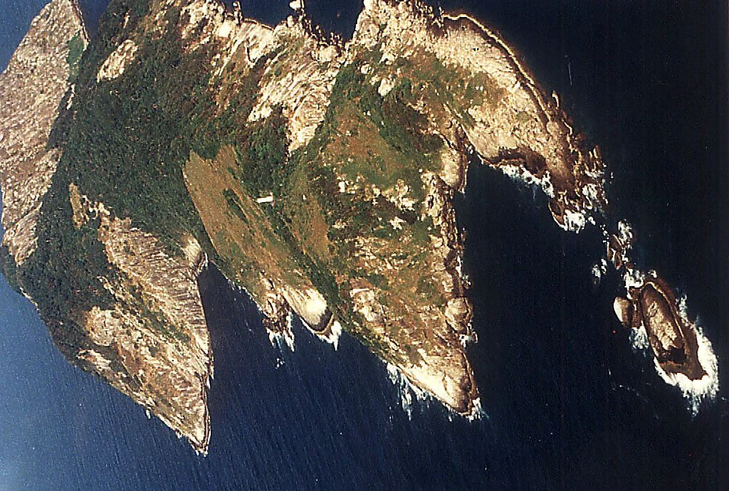 Brazil’s Snake Island: A venomous, off-limits haven for researchers