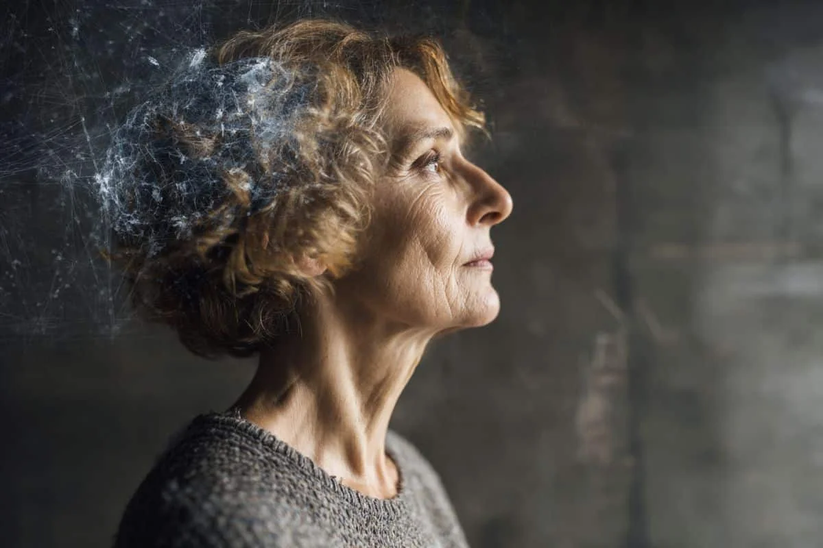 Estrogen Loss May Erode the Brain's ECM, Elevating Women's Alzheimer's Risk