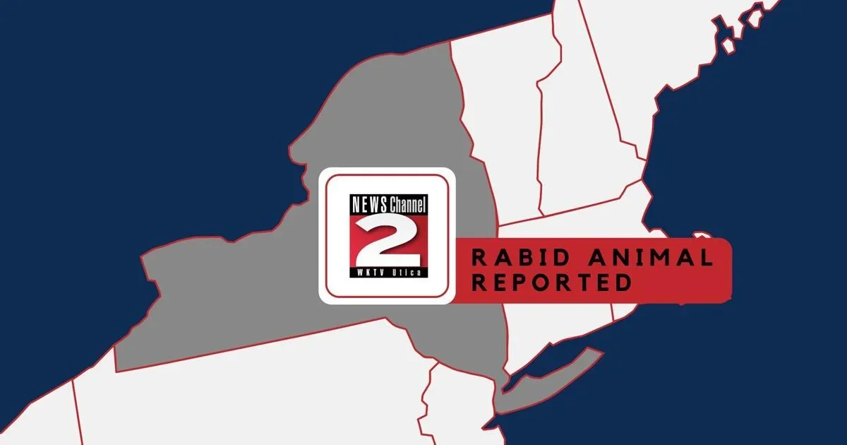 Rabies Confirmed in Westmoreland Raccoon; No Human Exposure Reported