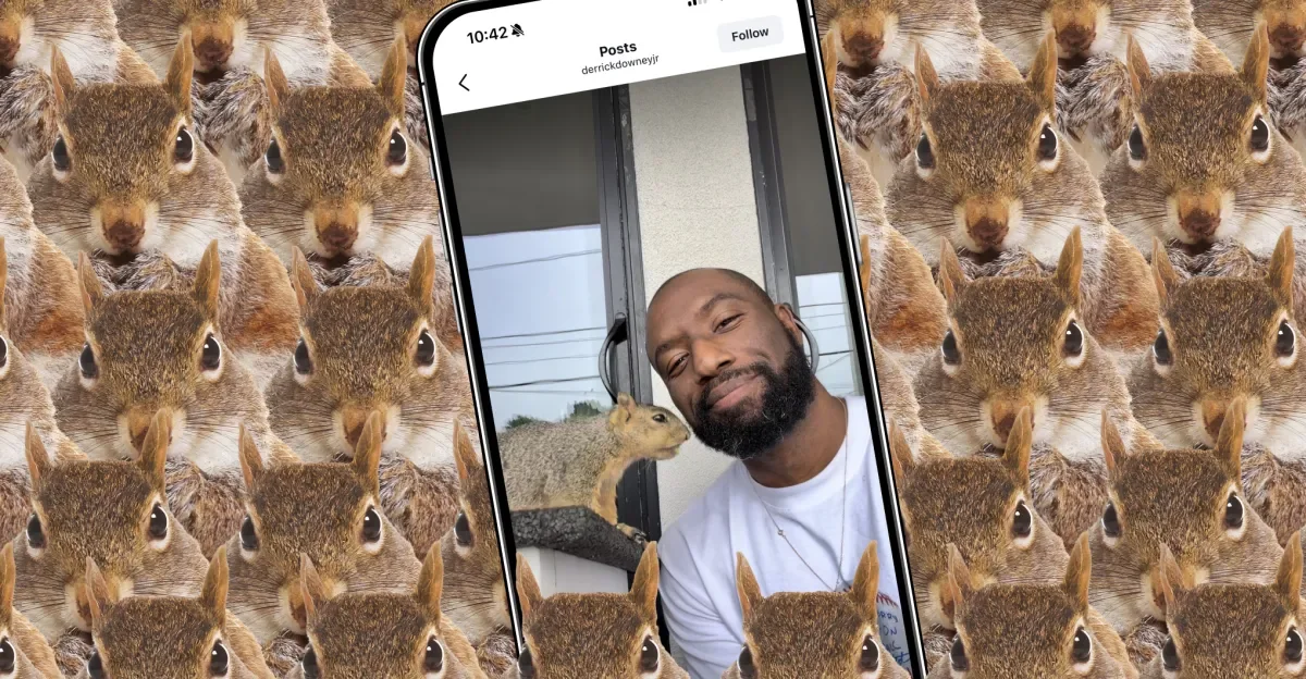 Squirrel-fueled hit: how a camera app captured the App Store spotlight