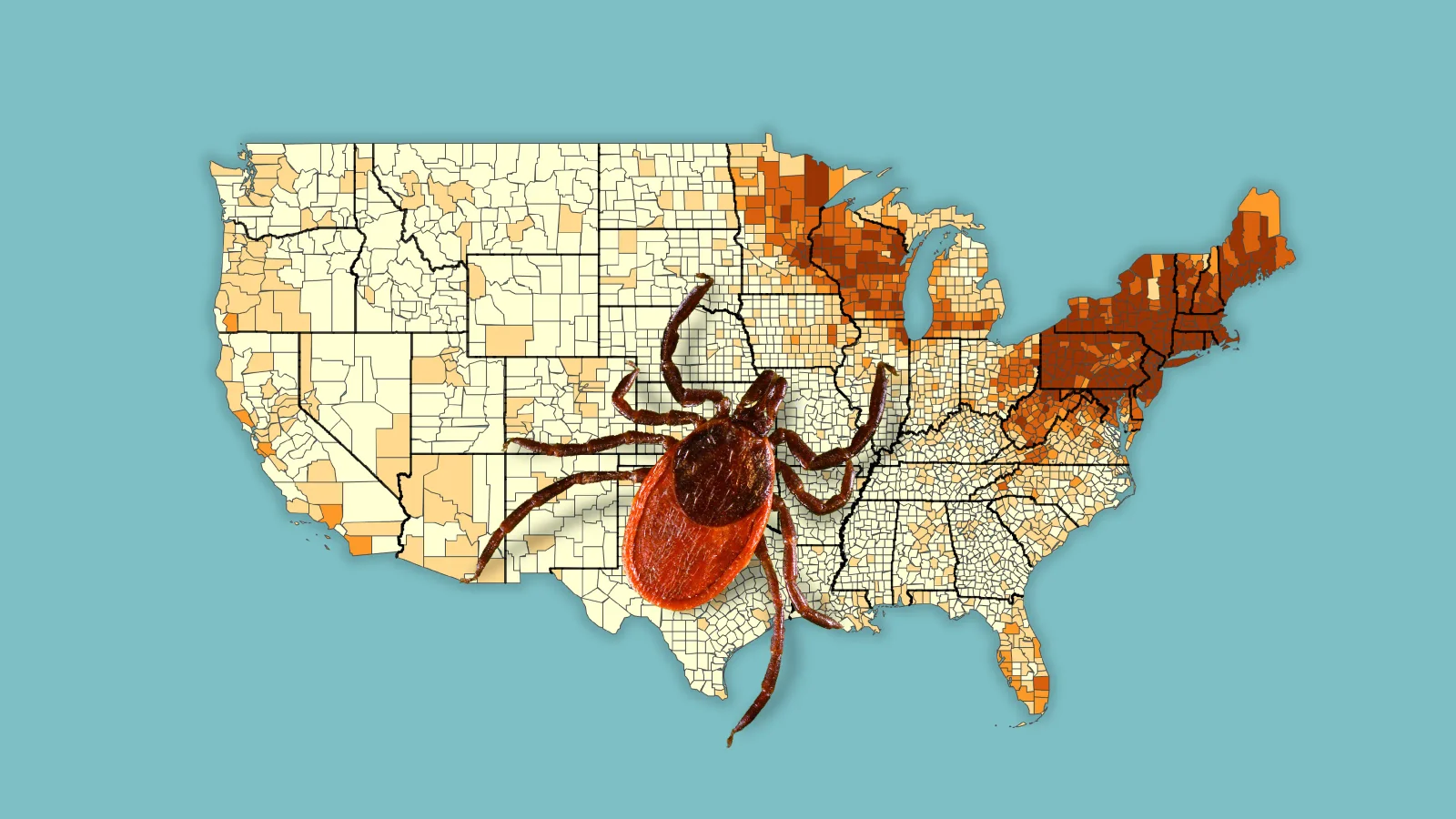 Record ER Visits Rise as Tick Bites Surge Across the U.S.