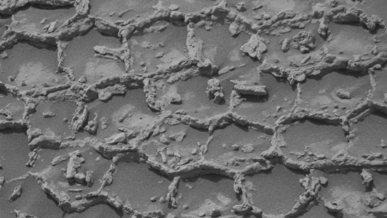 Curiosity Discovers Hexagonal Honeycomb Texture on Martian Surface
