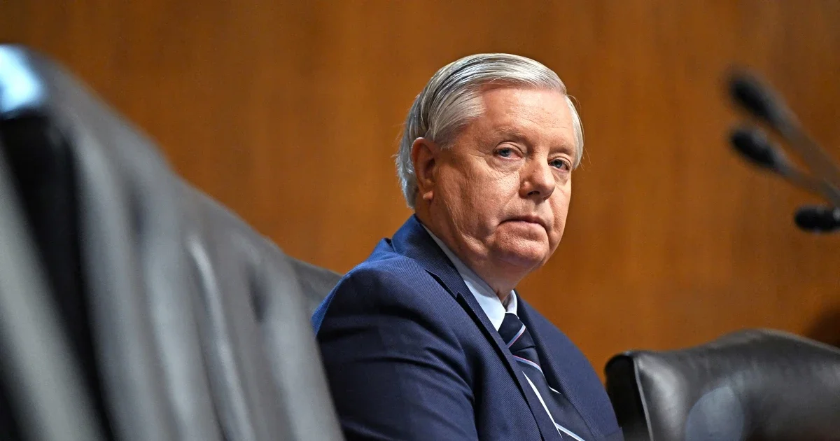 Graham Wins South Carolina GOP Primary After Expensive Ad Battle