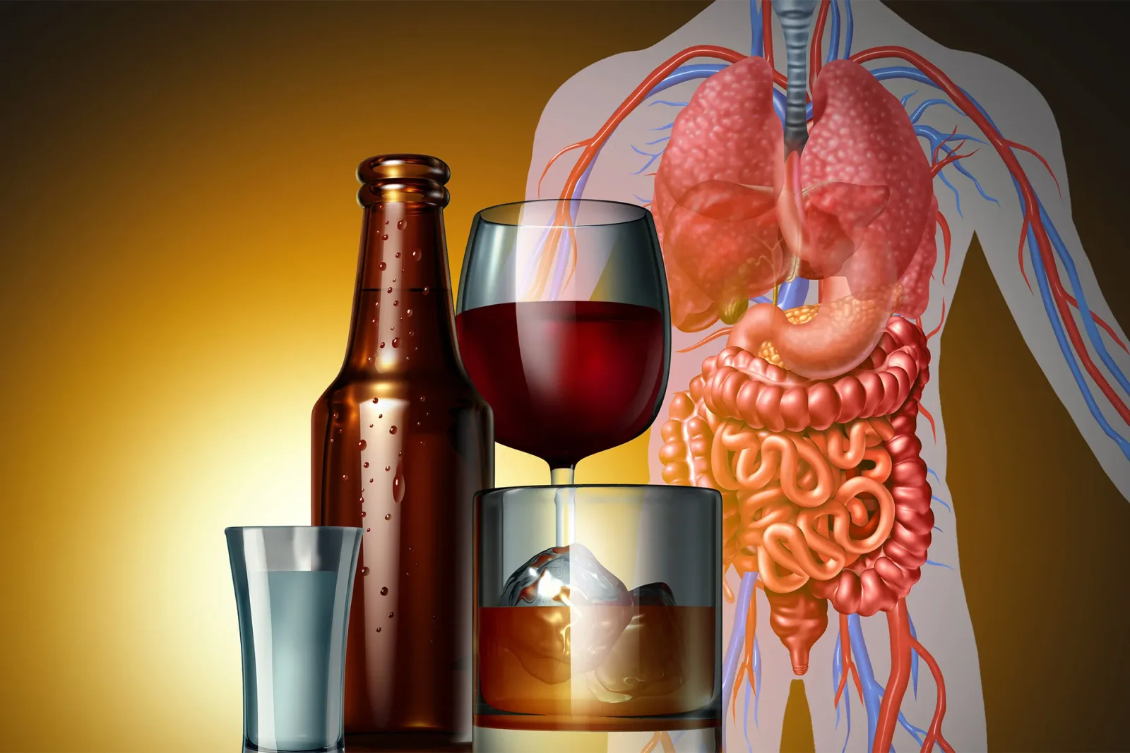No Safe Level for Alcohol: Cancer Risk Rises, Reducing Drinking May Slow Damage