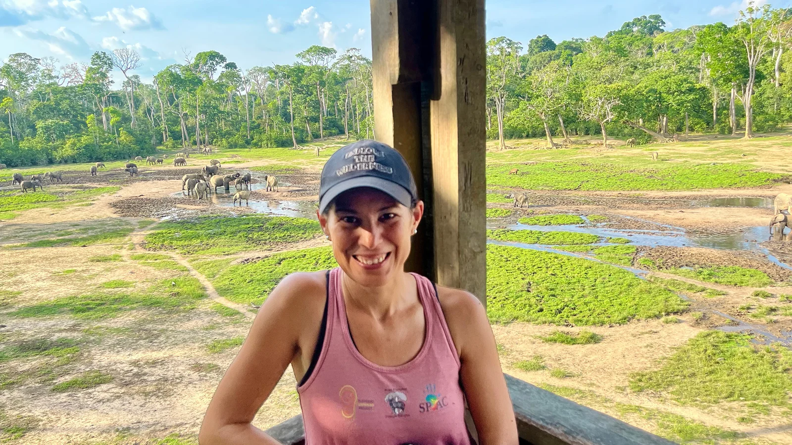Dzanga Bai: A Long-Term Window into Forest Elephant Life
