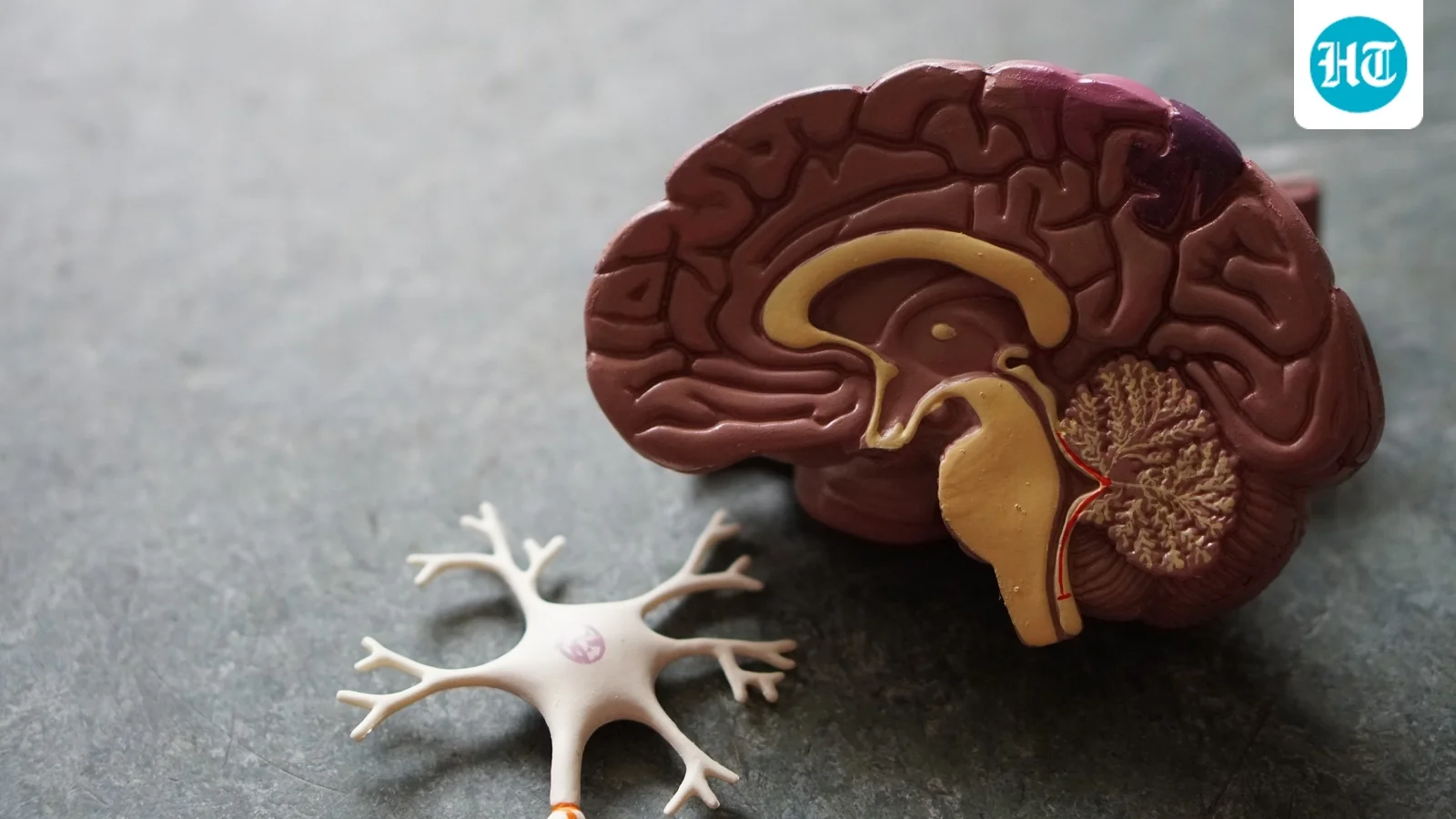 Three easy lifestyle changes to lower dementia risk, according to a neurologist