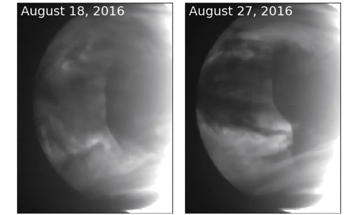 Venus’s 6,000-km Wave Explained by the Solar System’s Largest Hydraulic Jump