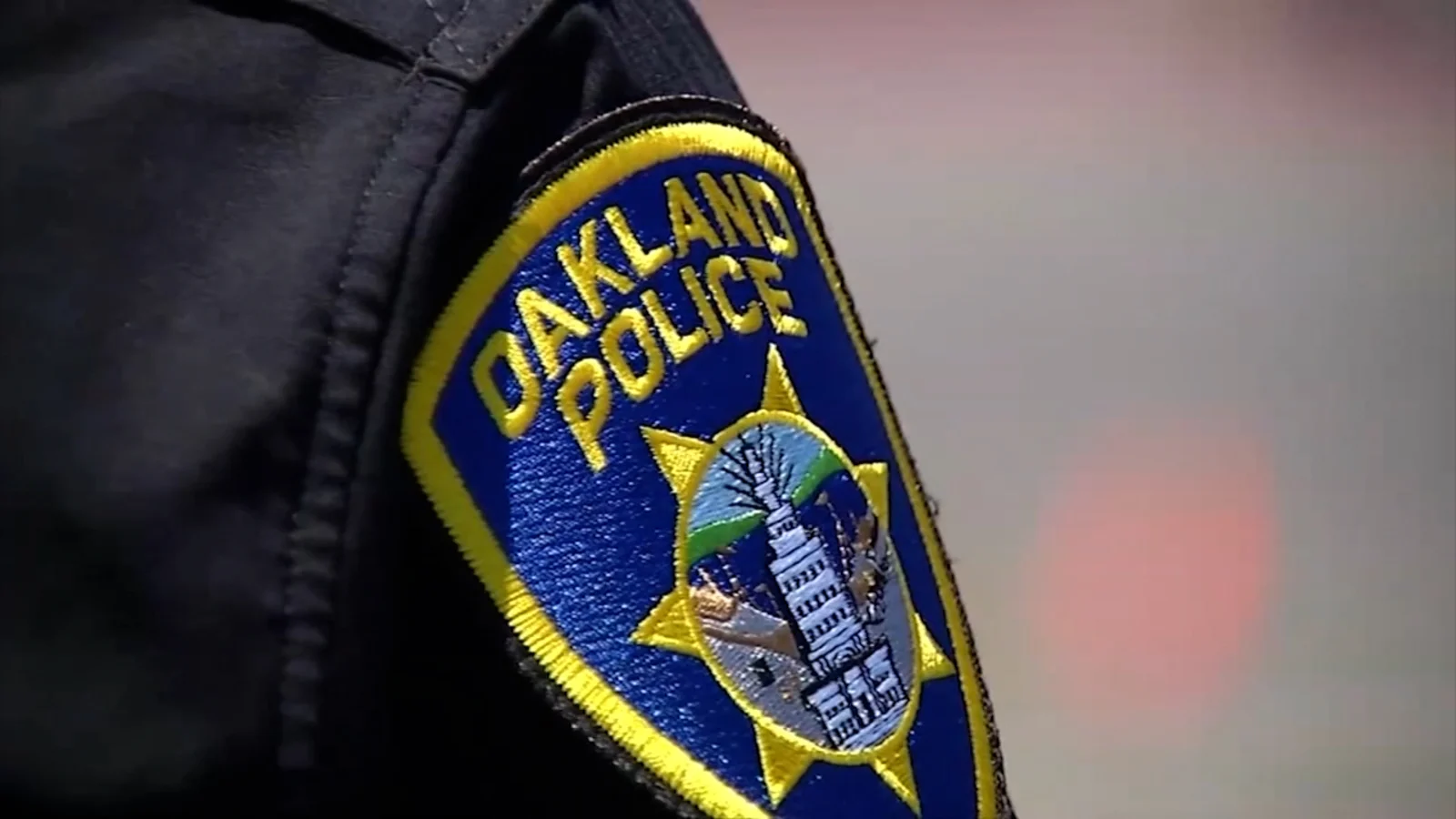 "Juvenile Gang Arrested for 35 Robberies in Oakland Area"