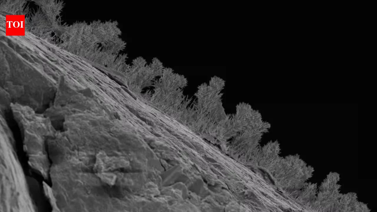 Michigan's Deep Subsurface Blooms with 689 Fungal Species from 11,000-Year-Old Water