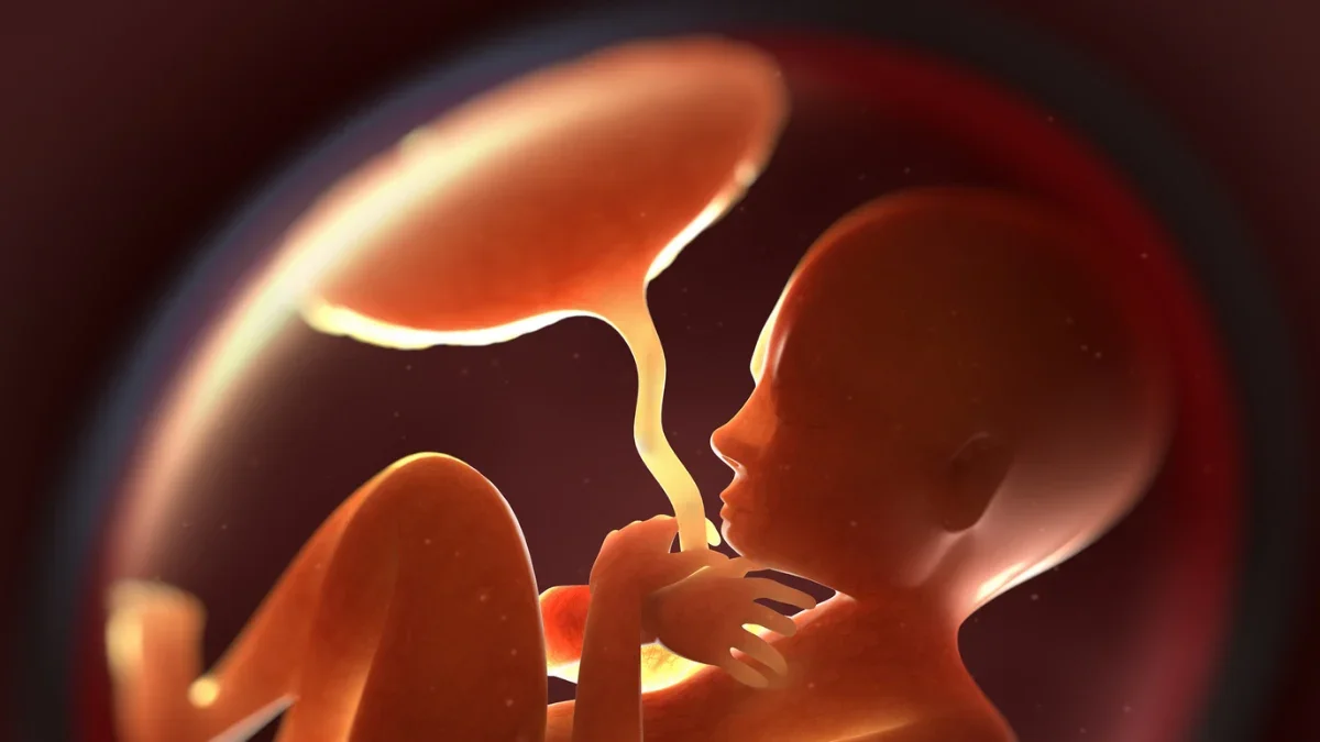Prenatal plasticizer exposure linked to autism- and ADHD-like traits through epigenetic changes