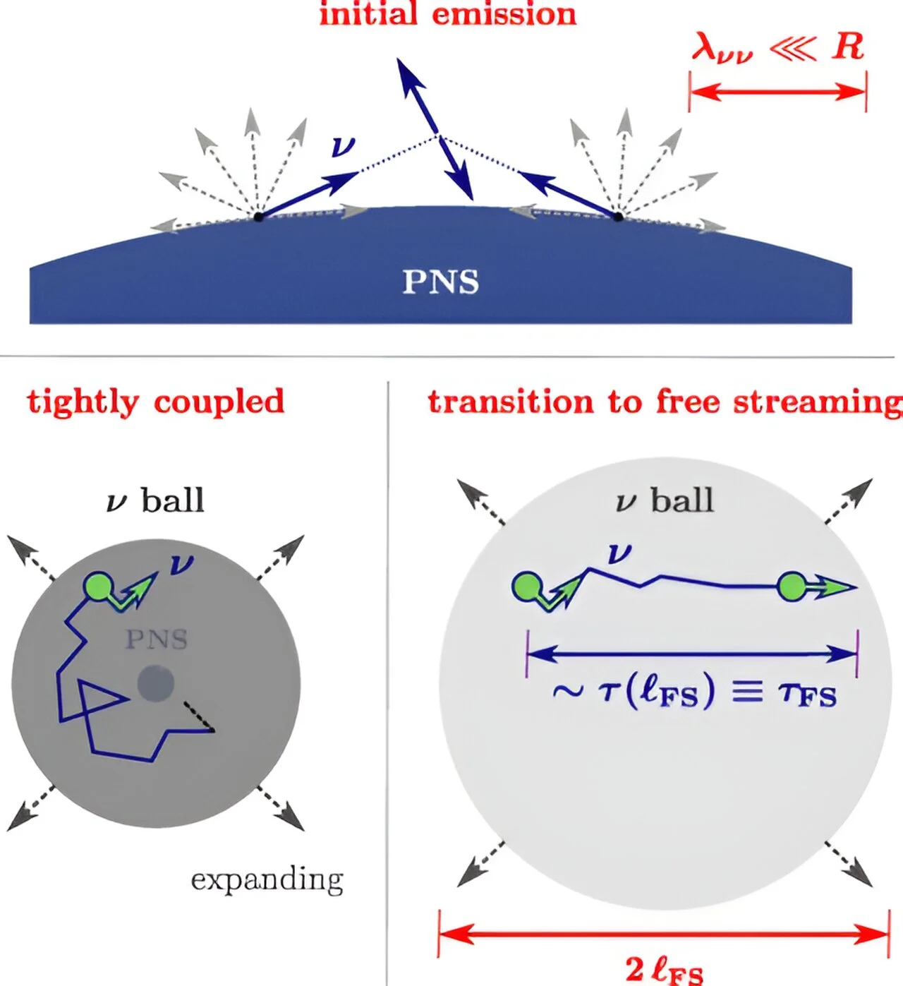 Unveiling Neutrinos' Secrets through Supernovae