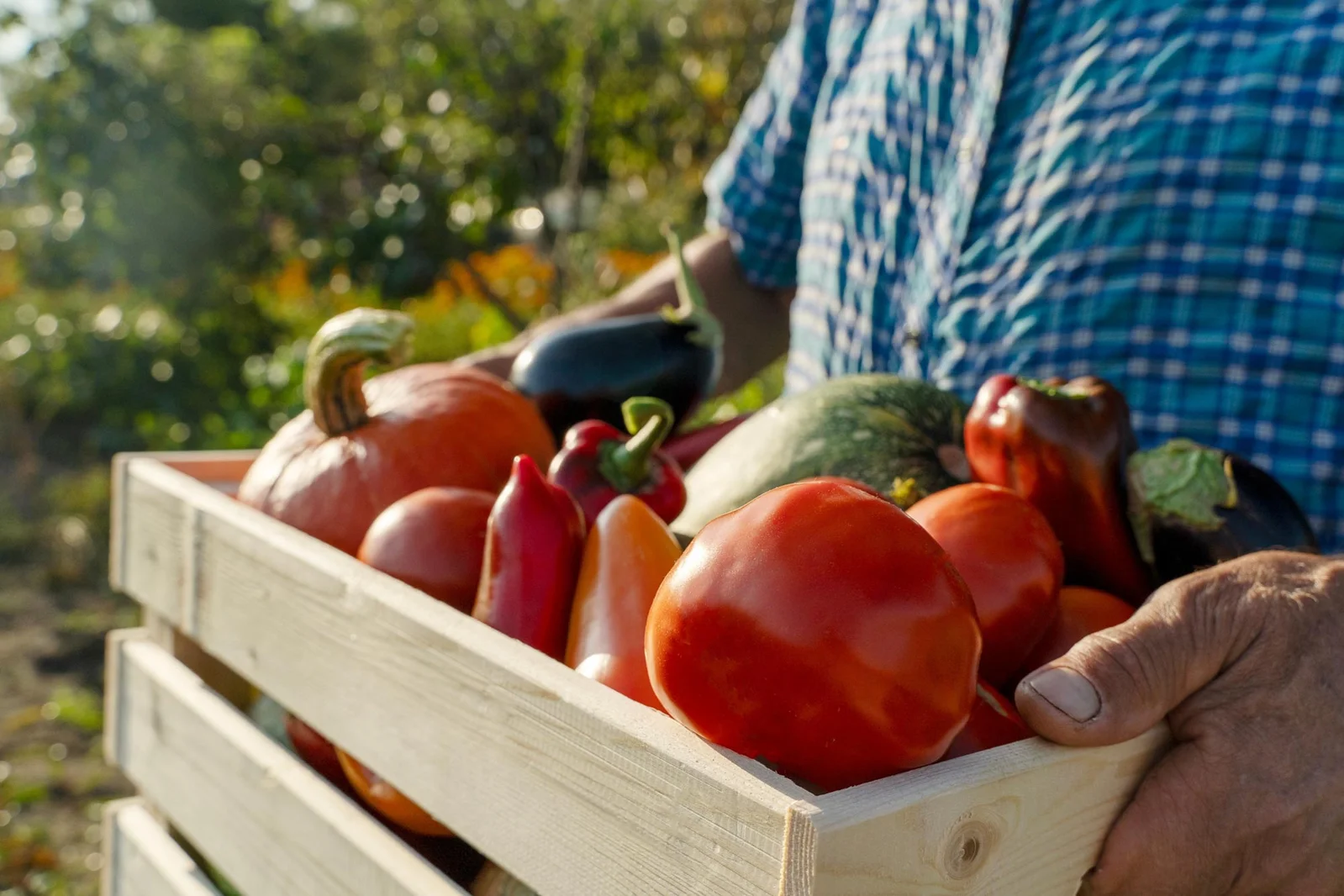 Healthy Diet Tied to Lung Cancer Risk in Young Non-Smokers, Study Finds
