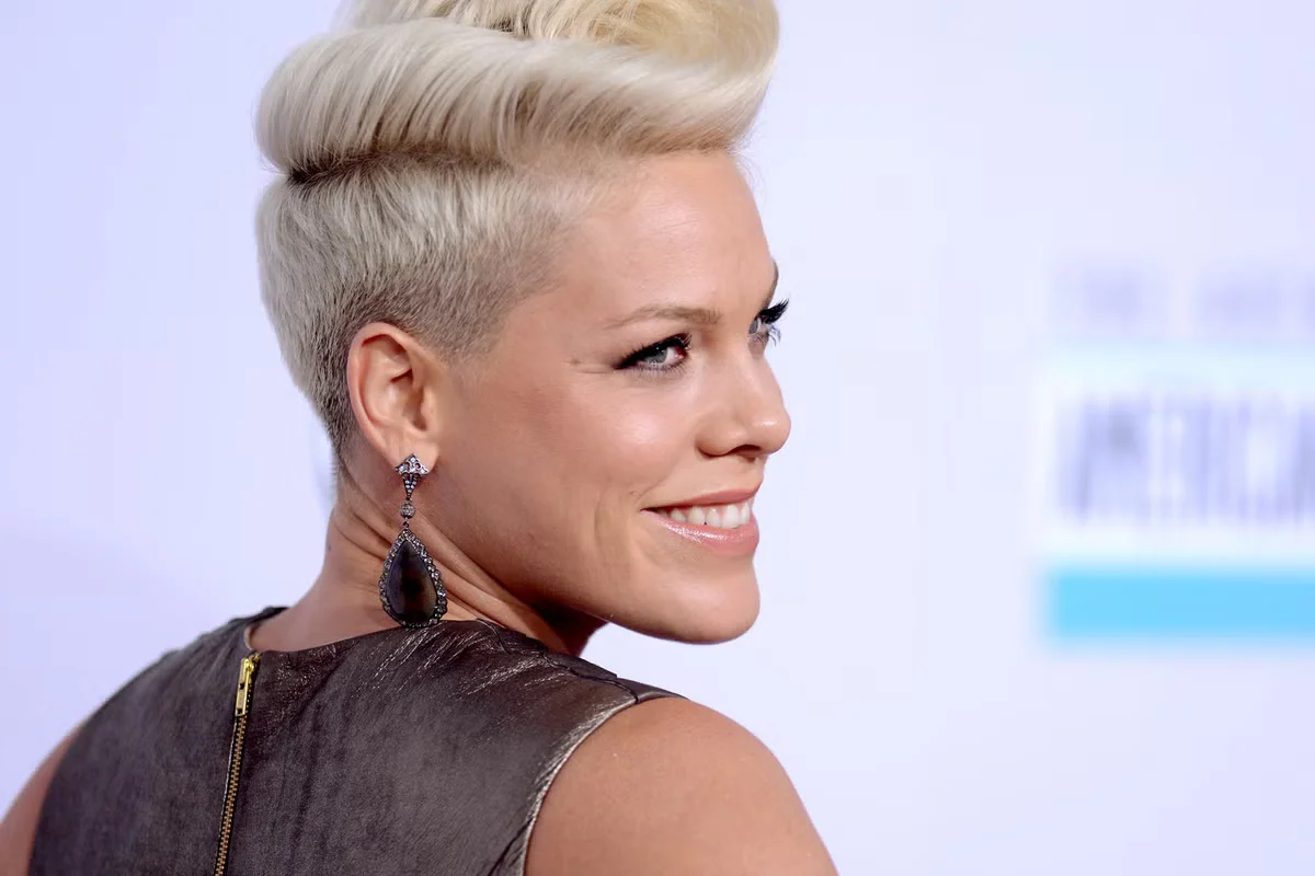 Pink doubles down on speaking out after Macklemore's Palestine remarks