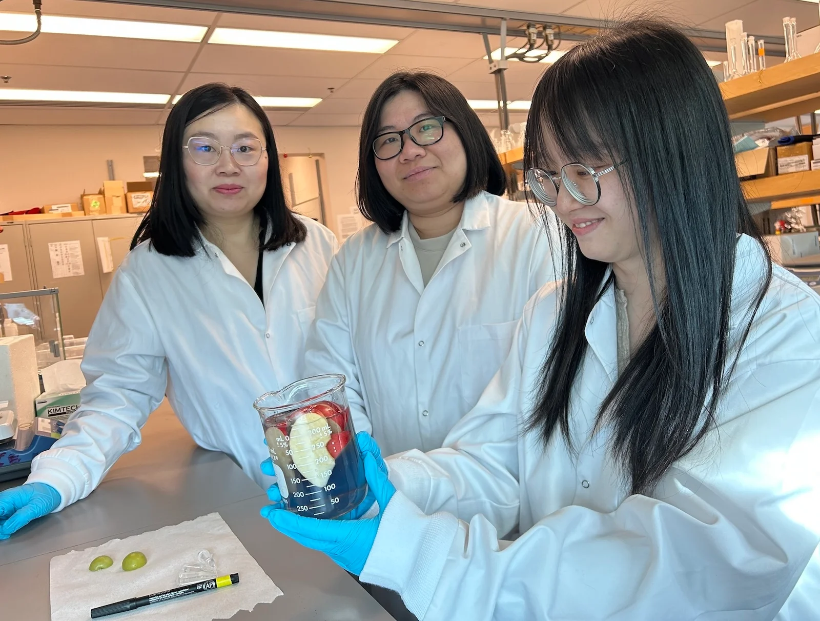 UBC develops starch-based wash to remove pesticides and extend fruit freshness