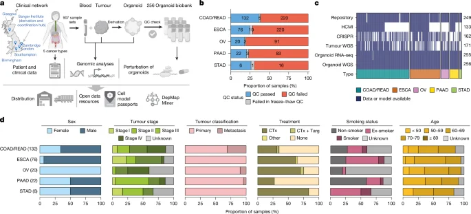 Organoid biobank maps cancer dependencies across five tumor types