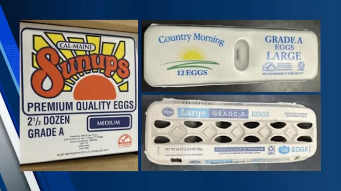 Nearly 1.6 million eggs recalled across TX, OK, and LA over salmonella risk