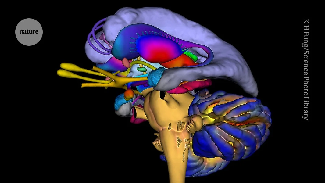 Acute stress disrupts memory linking, dulling insight
