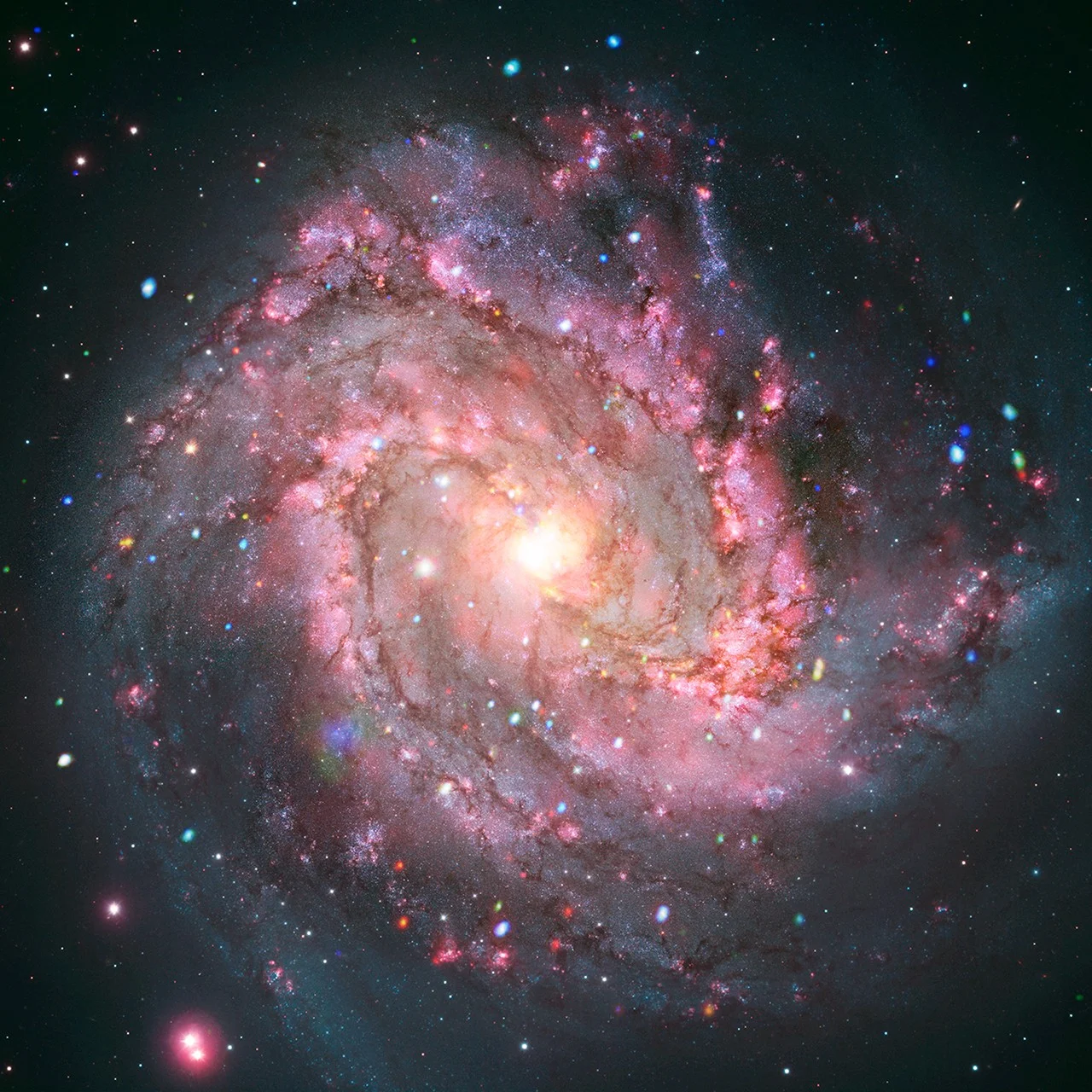 Chandra Detects Surviving Stars Fueling X-ray Flares in M83