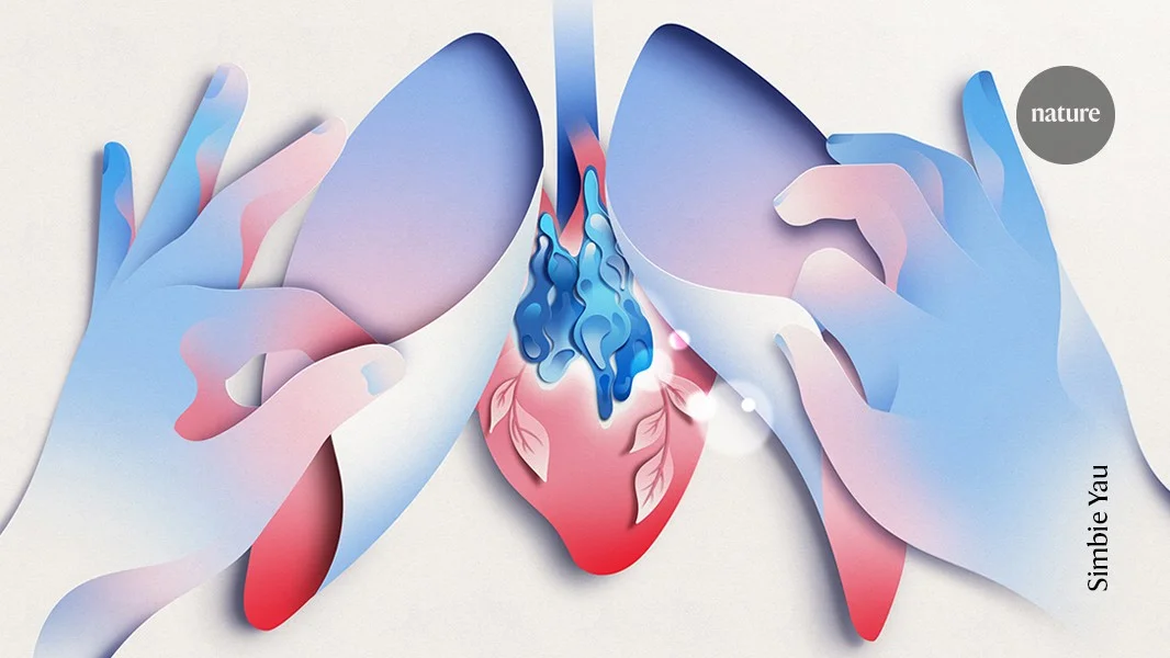 Thymus revival: a race to reboot aging immune system