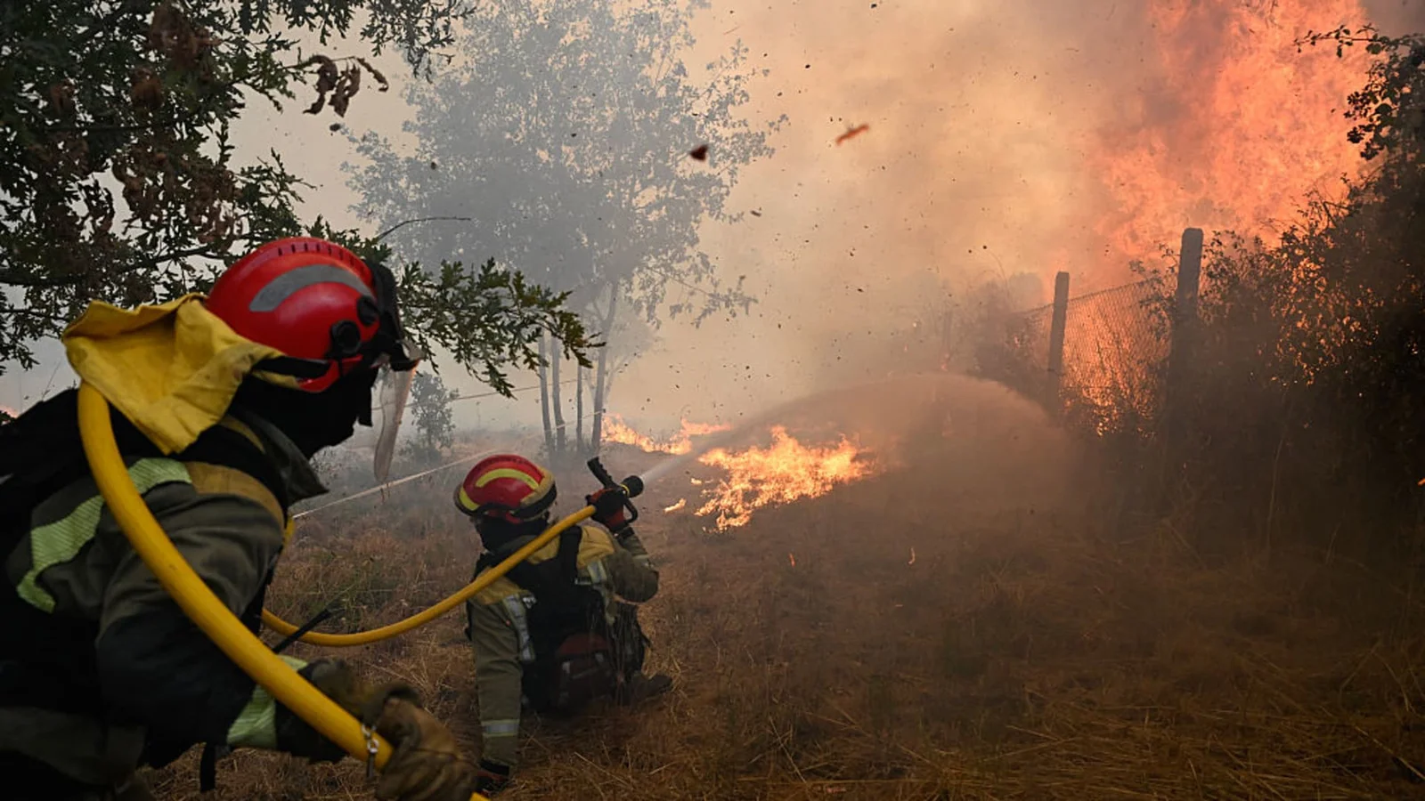 Europe Battles Record-Breaking Heat and Devastating Wildfires