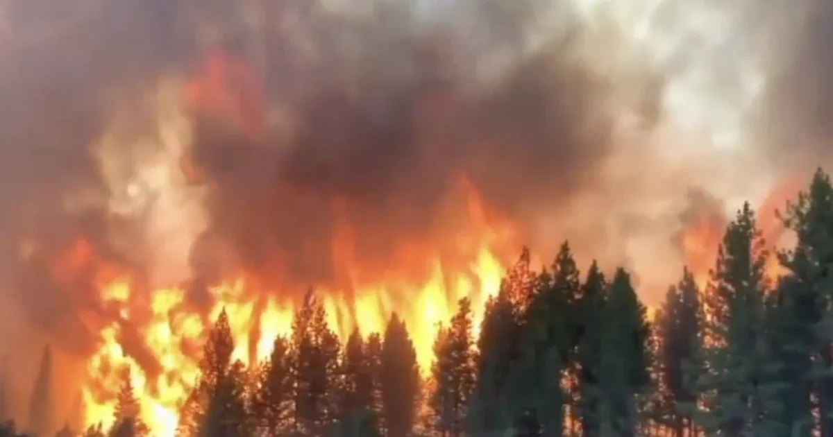 Northern Michigan Wildfire 90% Contained: Latest Updates