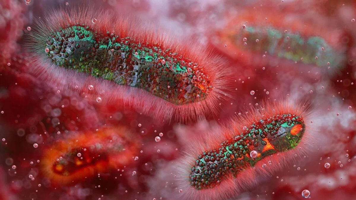Drug-Resistant Shigella Infections Rise, CDC Warns